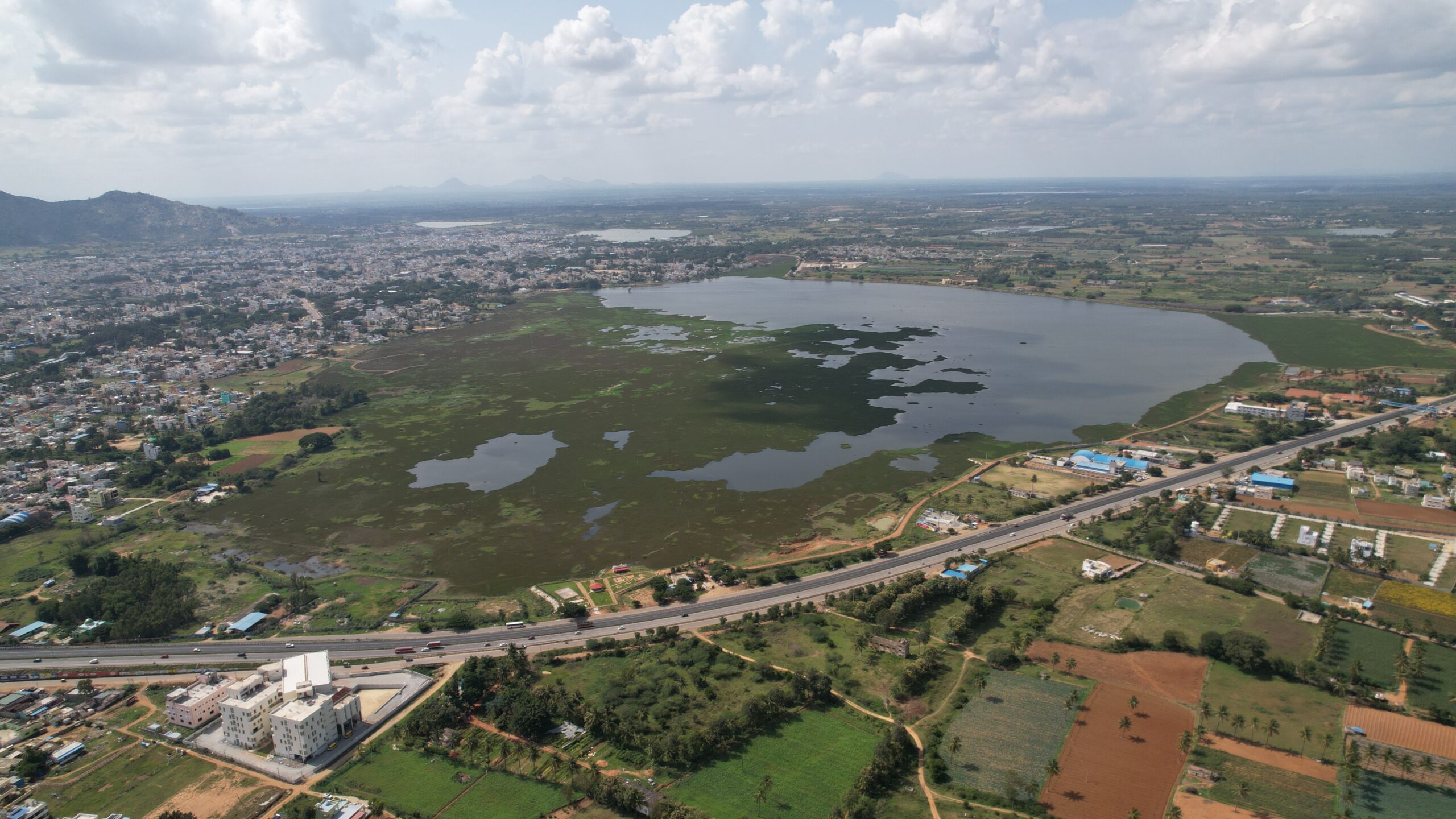 One of the many lakes in Kolar that are being filled with Bengaluru's wastewater, Kolaramma lake in Kolar district is seen here covered in water hyacinth. Photo sourced from Anjaneya Reddy.
