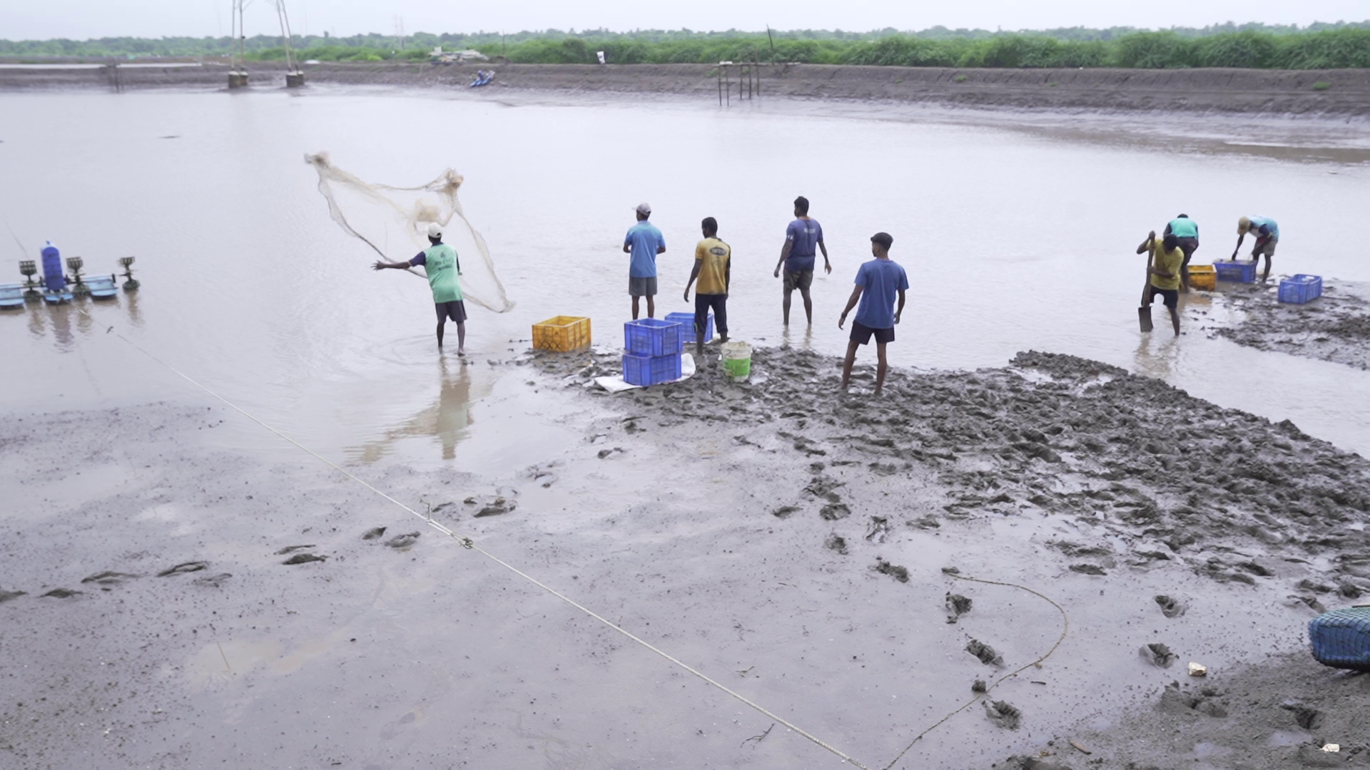 Shrimp farming in Dahanu. Photo by Kartik Chandramouli