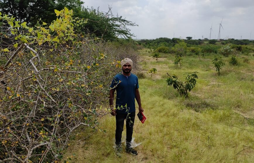 Farmer Mhobatsinh Sindhal stands beside the C. wightii (Guggul) fence in his farm.