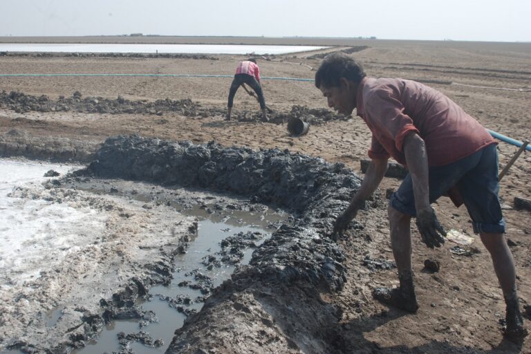 A farmer of Agaria community working on embankments to make large pans on earth. Once the floor of these pans is made impermeable by a series of manual processes, salty groundwater will be pumped from the Kuis and spread there. Photo by Ravleen Kaur