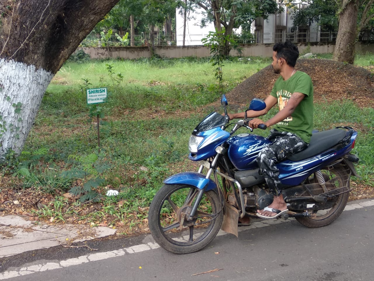Image shows a man on a motorbike looking at a plant
