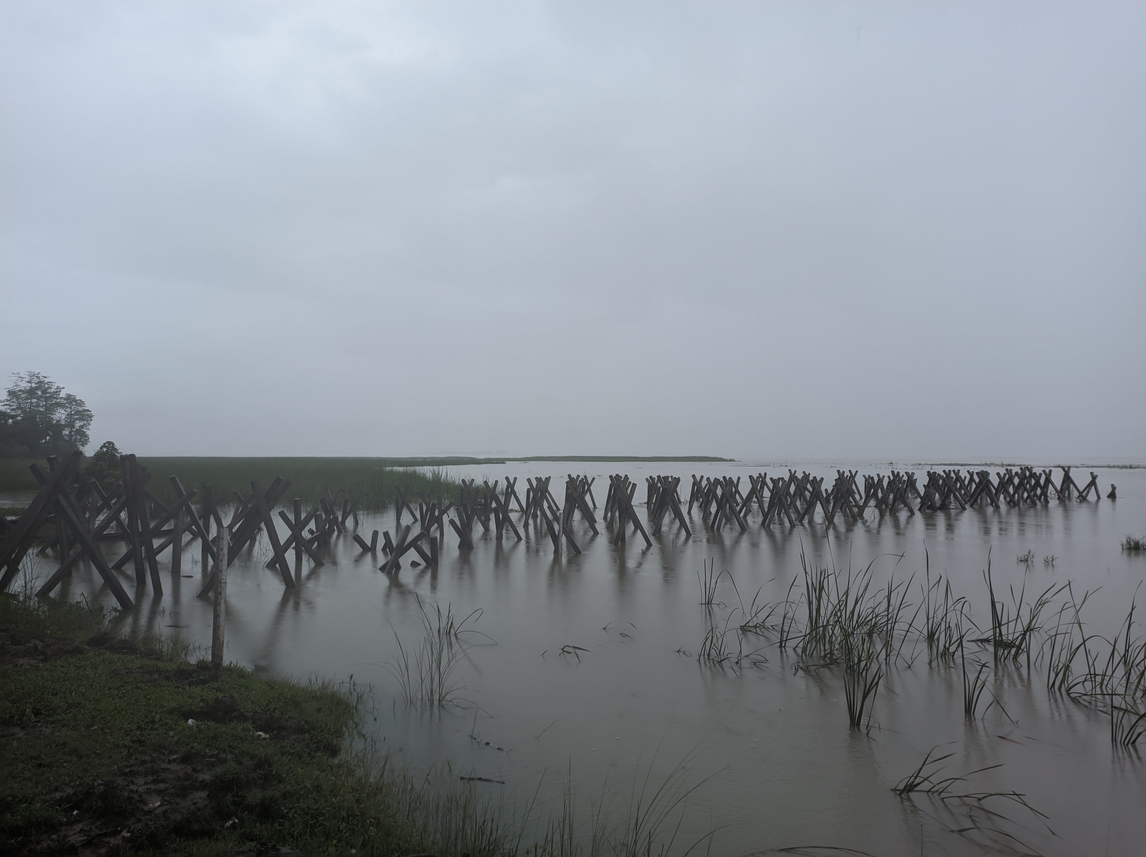 Concrete porcupine screens installed on the river bank to stop erosion on a river island near Daying Ering Memorial Wildlife Sanctuary. Photo: Jyotirmoy Saharia