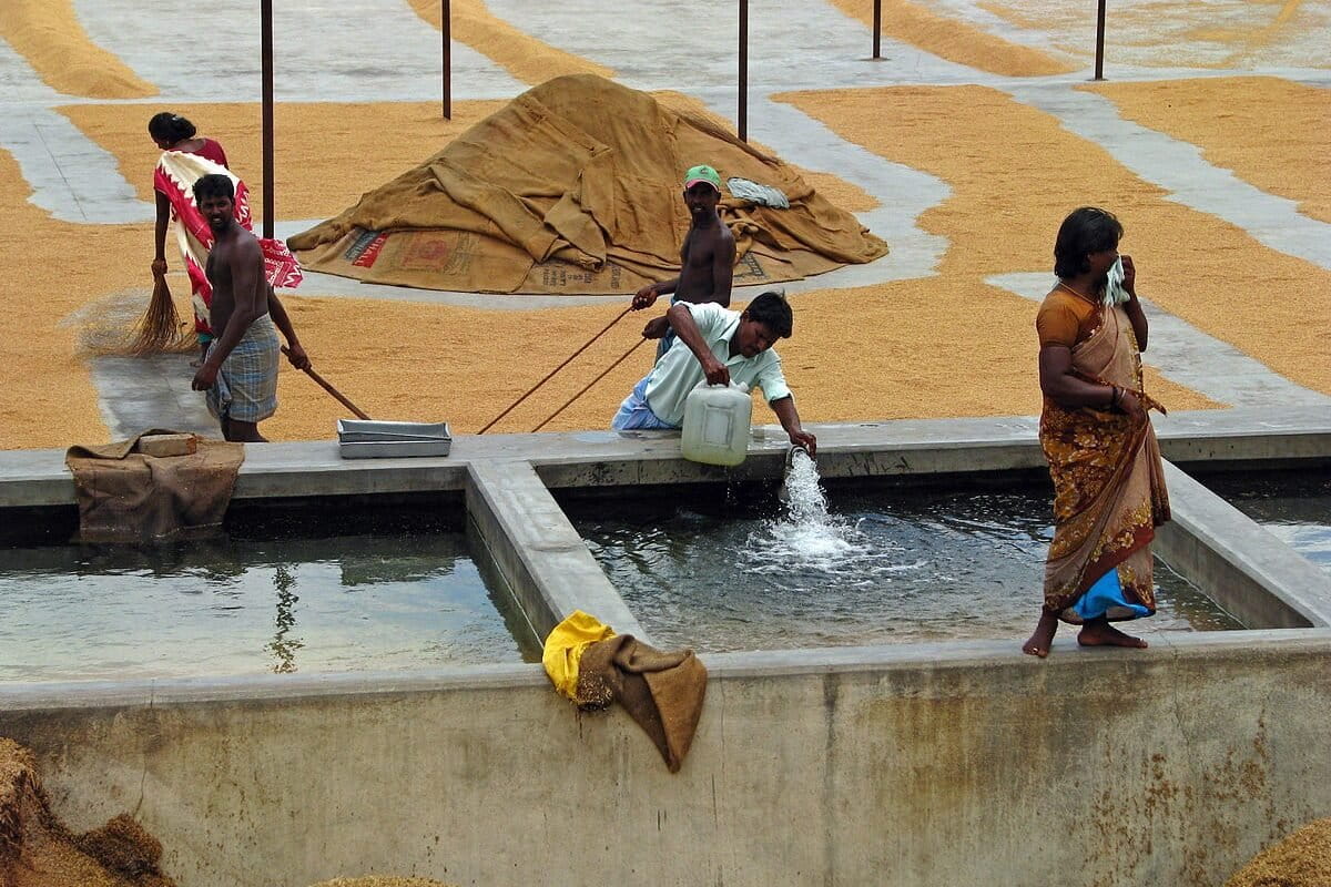 Workers drying and husking rice at a mill outside Kanchipuram.
