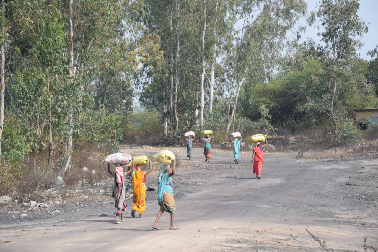 Local women collecting coal from an abandoned mine in Kotma for cooking.