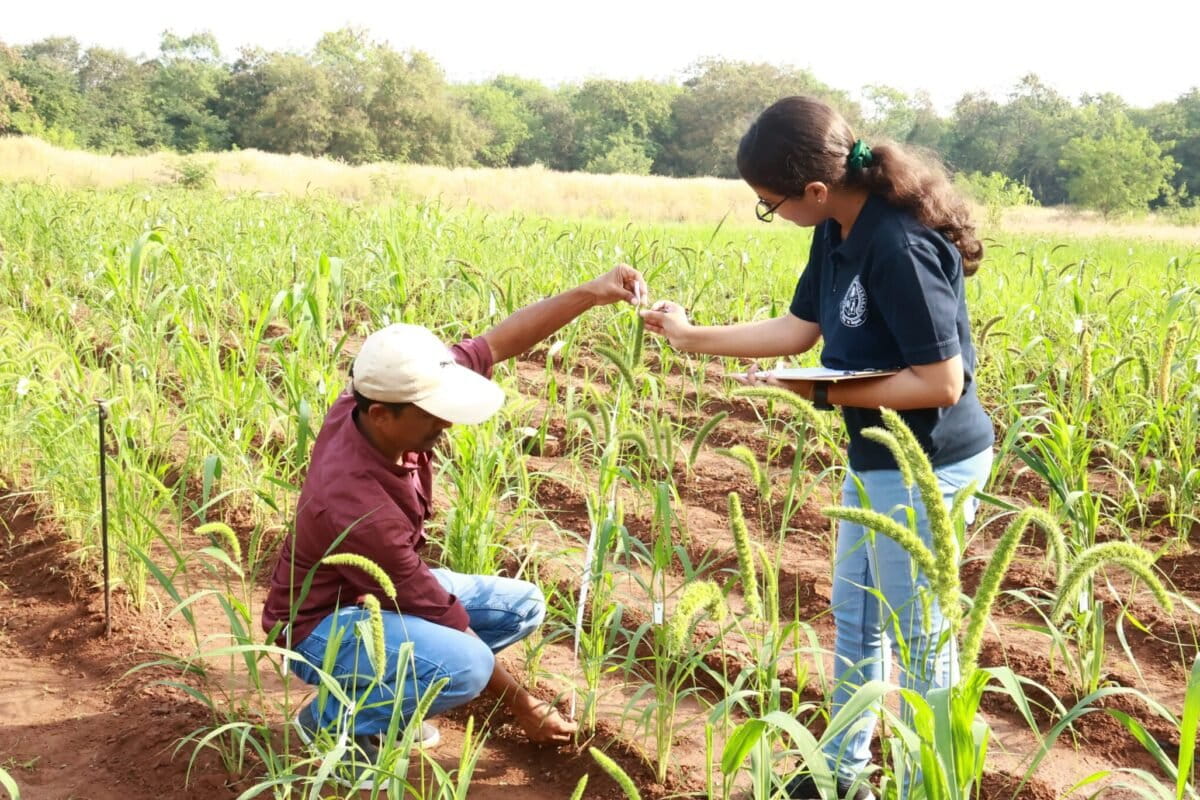 094A7226-1-scaled-e1712765270924-1200x800.jpg (1200×800)