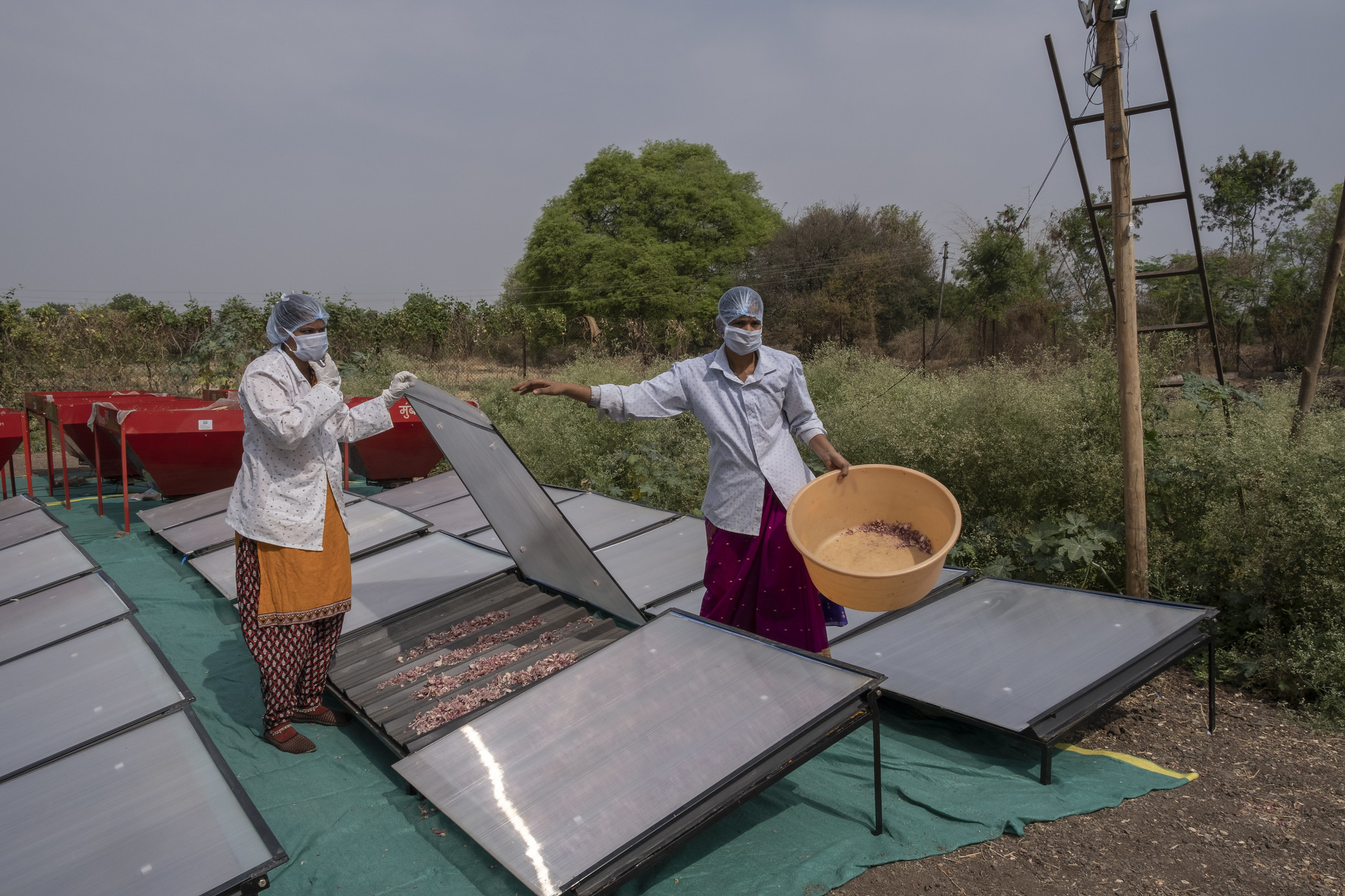 Solar dehydrators from S4S Technologies which helps increase the shelf life of agricultural produce. Photo by Saumya Khandelwal/S4s Technologies.