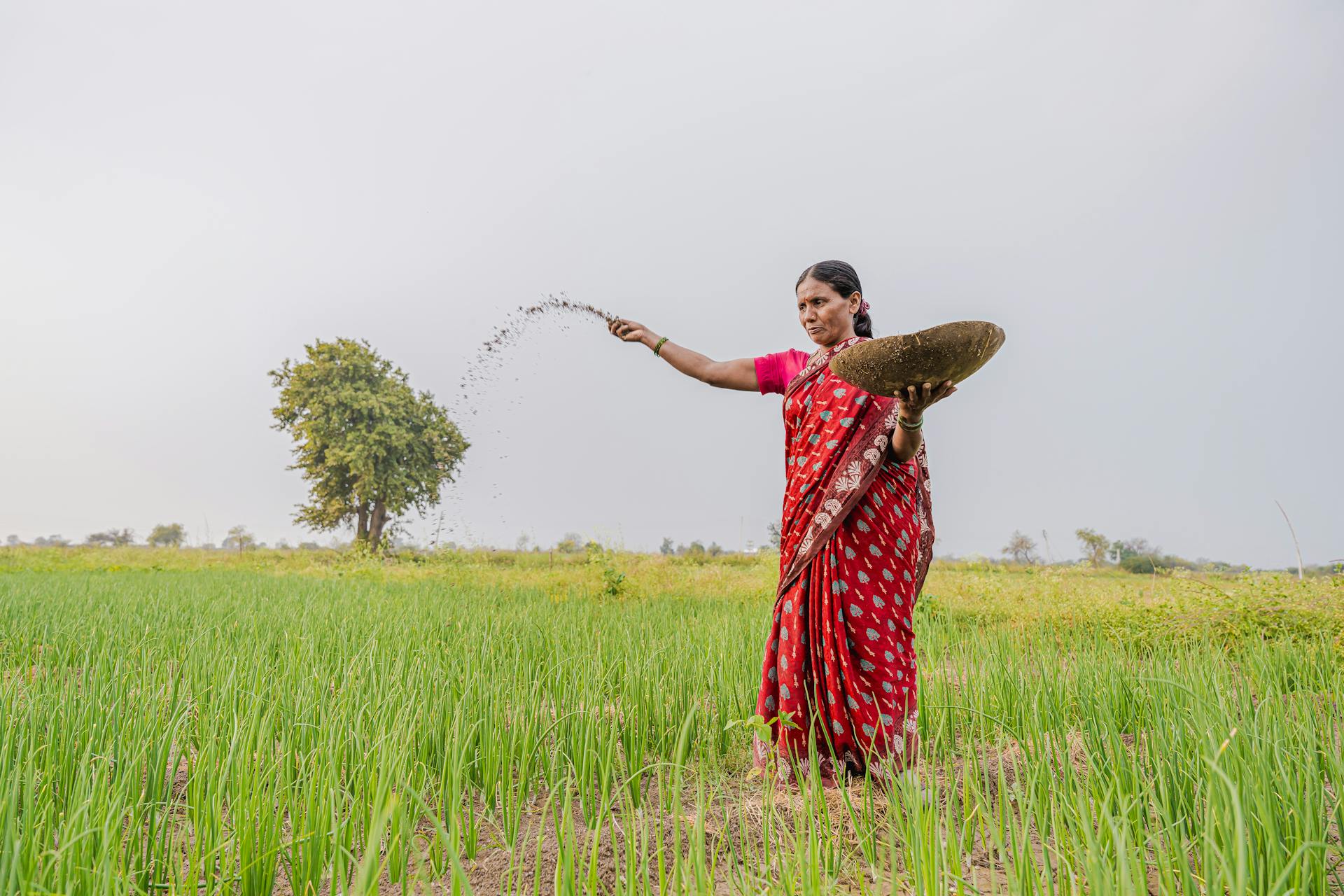 Farmer distributes fertiliser in the farm. Image by EqualStock IN via Pexels (CC).