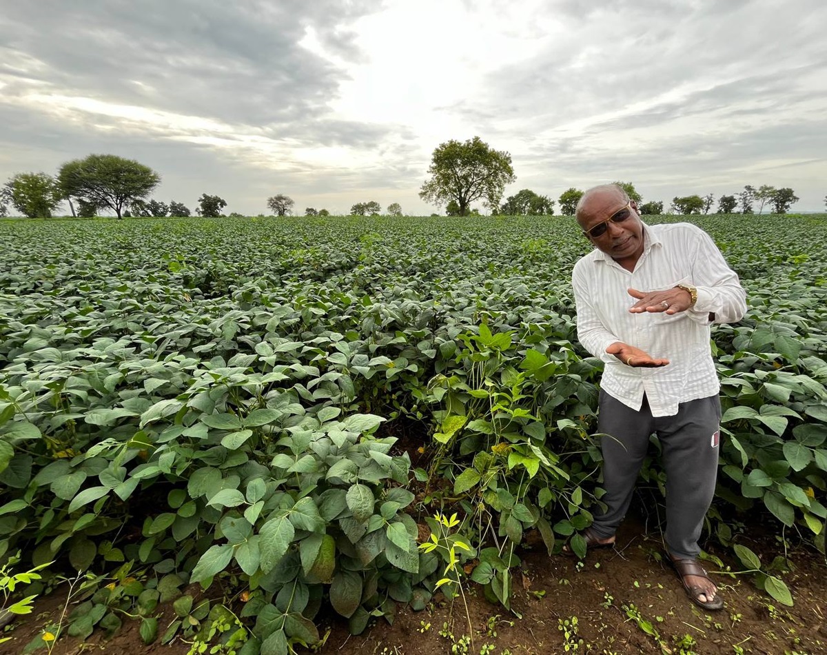 Namdeo Sahebrao Kakode, secretary of Borgaon Math’s village development committee, says applying silt has transformed their crops from short to healthy. Image by Nidhi Jamwal.