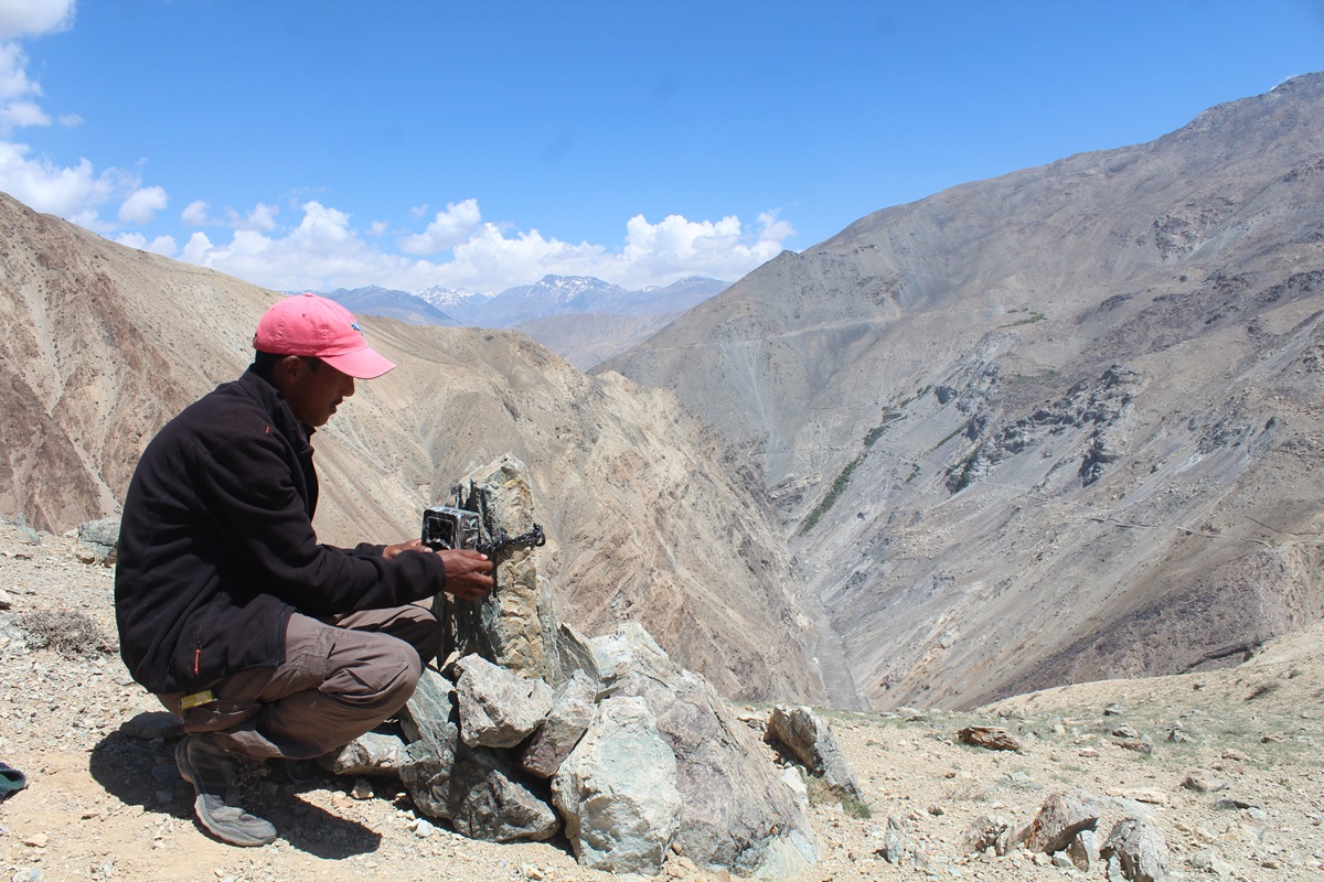 Tandup Cherring scouting for snow leopards on the Langza Plateau, Spiti. Image courtesy of Munib Khanyari