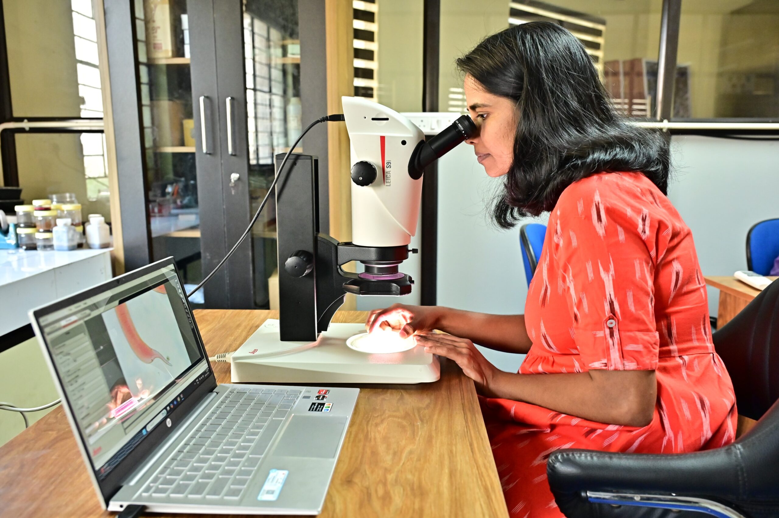 taxonomist jini jacob documents meiofauna nematodes
