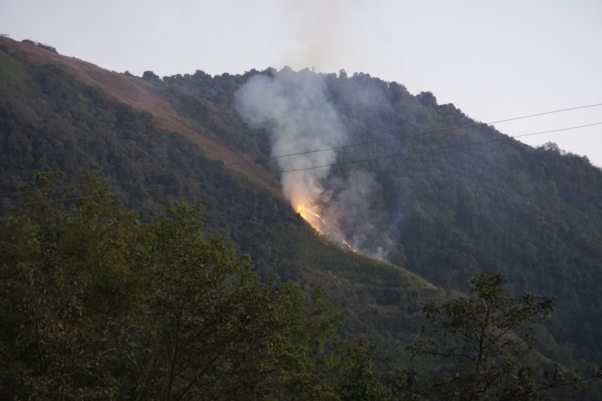 Controlled burning in Dibang Valley district, Arunachal Pradesh