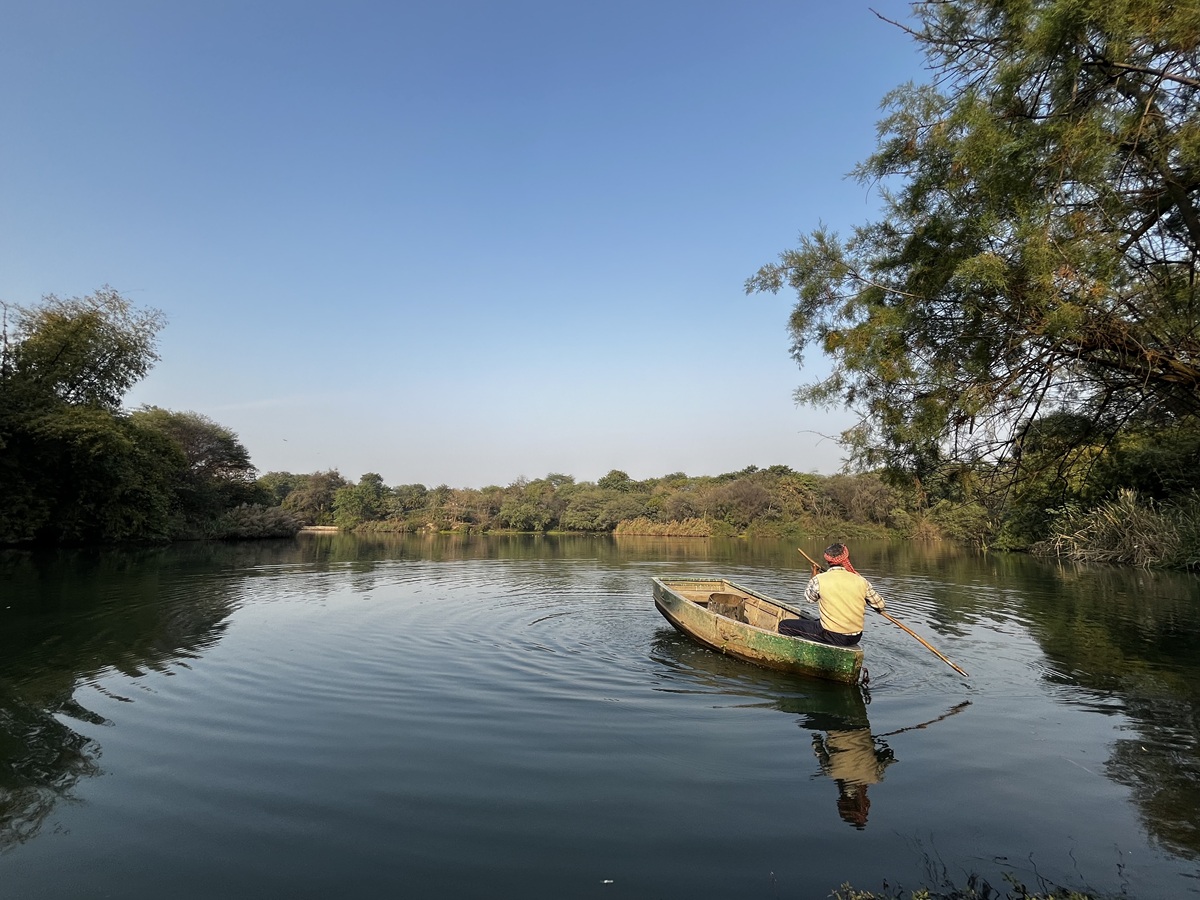 Neela Hauz Biodiversity Park, a restored wetland near Sanjay Van, serves as a thriving habitat for migratory birds. Image by Nidhi Jamwal.