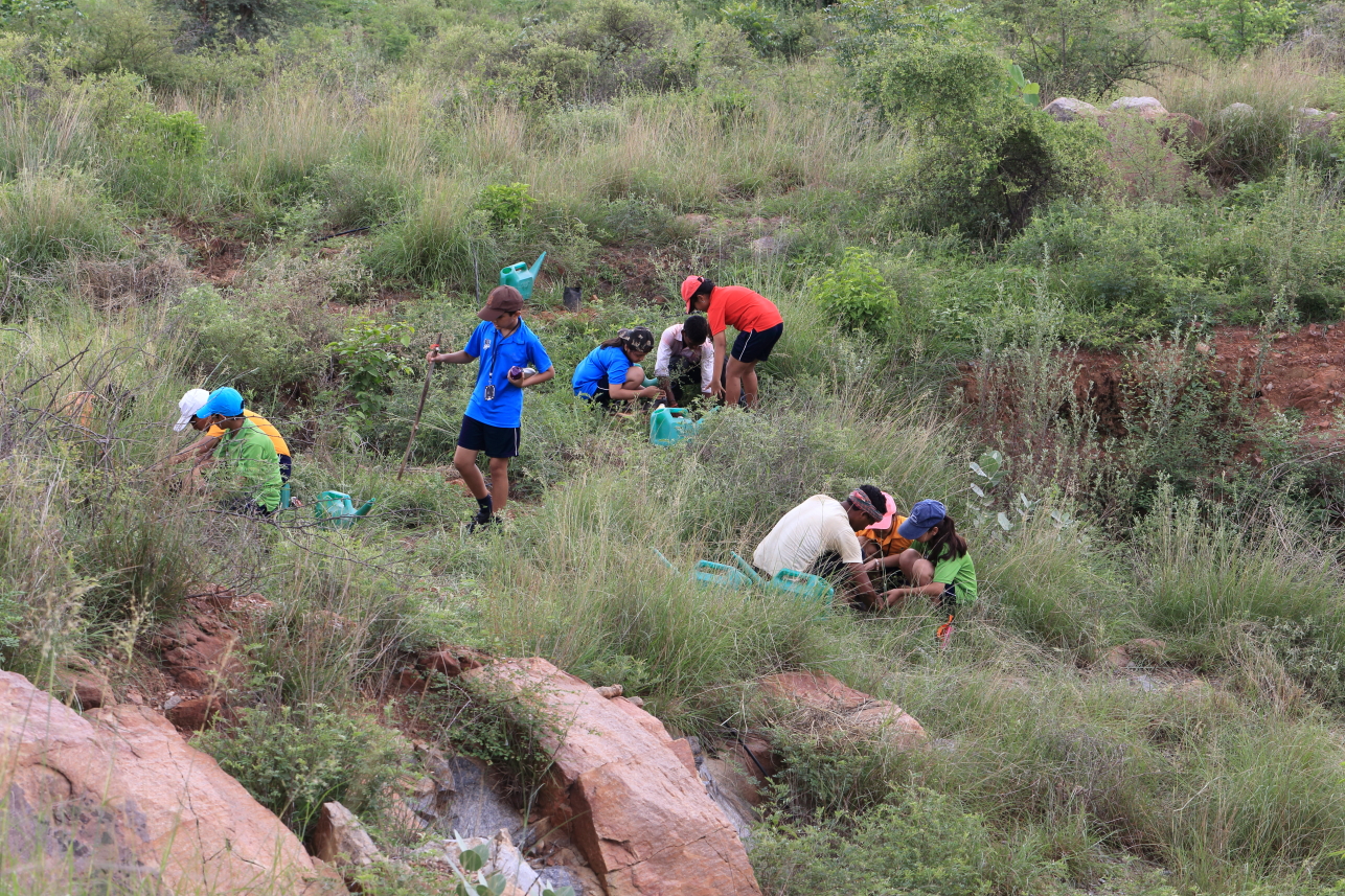 Volunteers working to restore the Aravalli Biodiversity Park, Gurgaon. Image by Vijay Dhasmana via Wikimedia Commons (CC BY-SA 4.0).