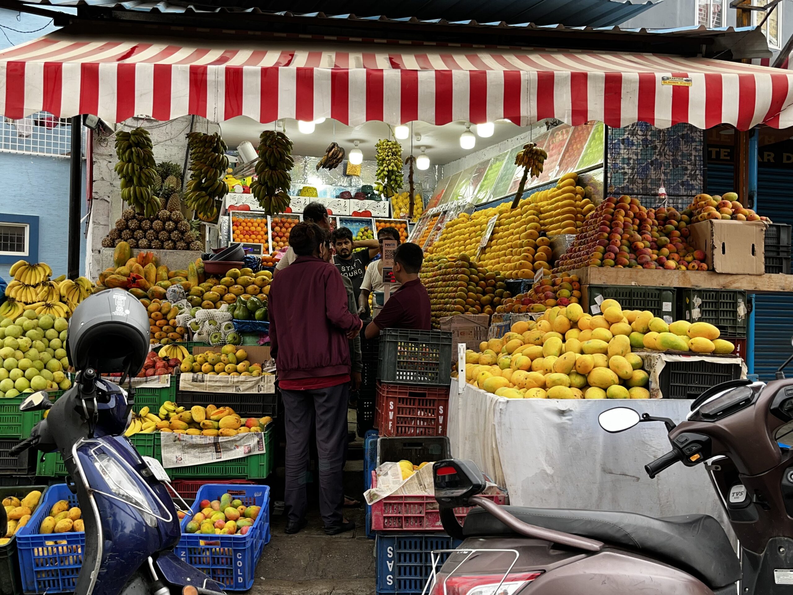 A fruit stall selling a variety of mangoes. Higher temperatures during fruiting season can not only affect colour and texture, but even shrink mangoes. Farmers say customers refuse to pay the same price for smaller, defective fruits, resulting in a loss for sellers and farmers. Representative image by Divya Kilikar/Mongabay.