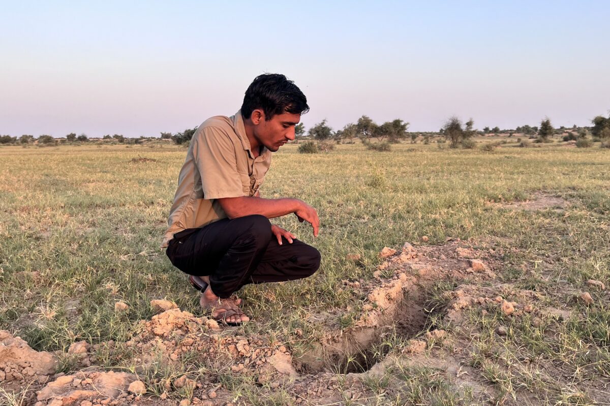 Radheshyam Bishnoi examines a spiny-tailed lizard burrow in Pokhran, Rajasthan. The burrow has been dug out by poachers. Image by Sneha Richhariya.