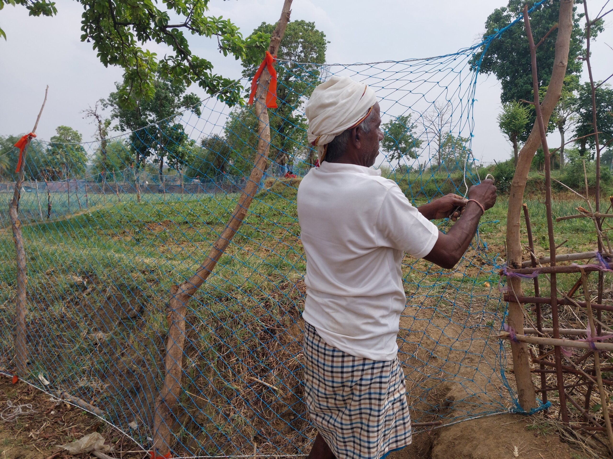 Kanhai Prasad, a farmer in Charai village, secures a mesh netting to protect his crops. "All night you can hear tractors roaring from the forest edge, blasting loud music and crushing stone,” he said. Image by Ashwini Kumar Shukla/Mongabay.