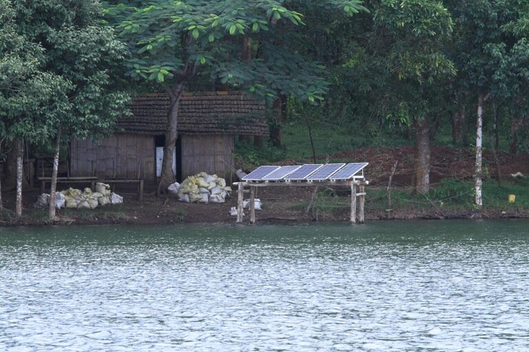 Solar panels in Parambikulam Tiger Reserve. Image by Parambikulam Tiger Conservation Foundation via Wikimedia Commons (CC BY-SA 4.0).