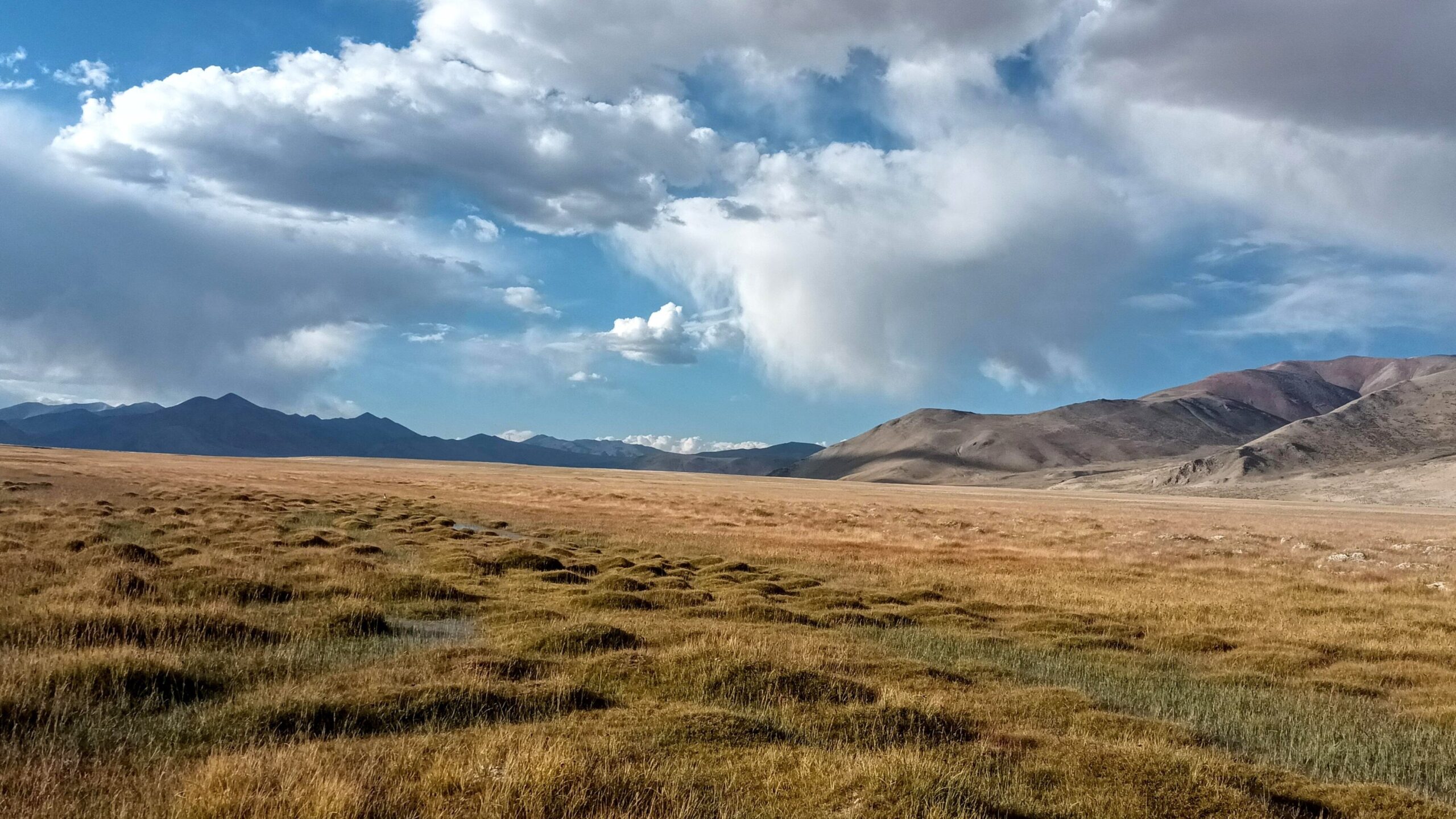 The marshes of Tso Kar in the Changthang Plateau of Ladakh. The implementation of access and benefit sharing in remote regions is already compromised by the topography and scarcity of resources, and further at risk by the ABS regime. Image by Esha Joshi.