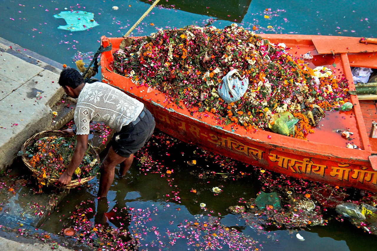 A man cleans up floral waste. Image by Nico Crisafulli via Wikimedia Commons (CC BY 2.0).