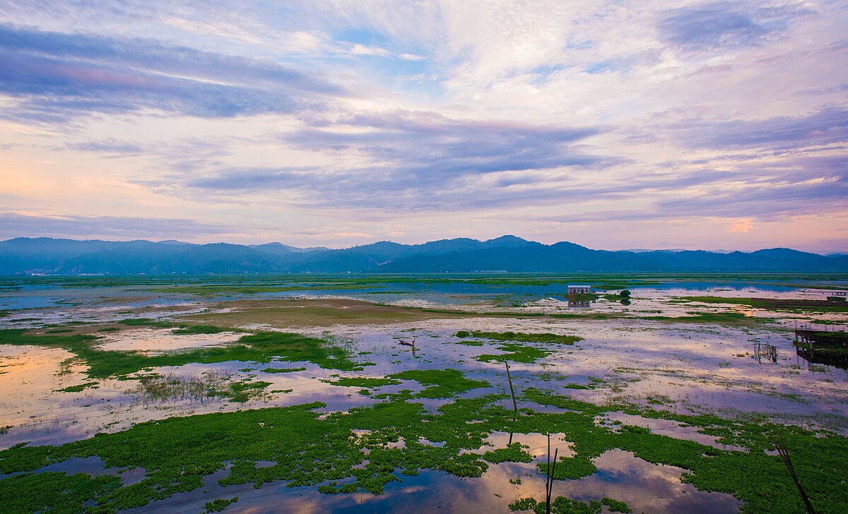 Deepor Beel in Kamrup is Assam’s only Ramsar site, despite the state having over 1,000 wetlands, many of which face growing threats from pollution and development. Image by Hirakjyoti Bayan via Wikimedia Commons (CC BY-SA 4.0).