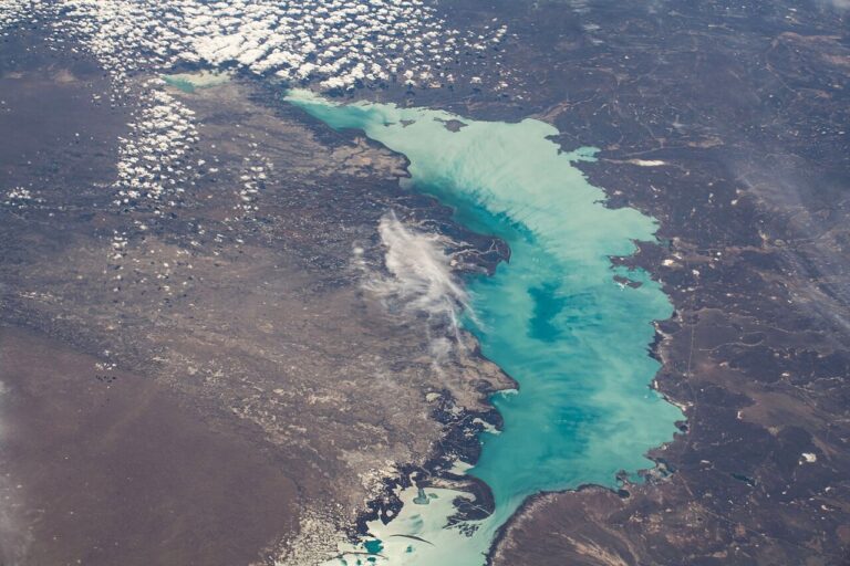 Balkhash lake in Kazakhstan, which hosts breeding sites of Montagu's harriers. Tracking data revealed that the birds were detouring westward to avoid the Himalayas, and making an eastward turn to reach breeding sites across several of Kazakhstan's lakes. Image by NASA via Public Domain.
