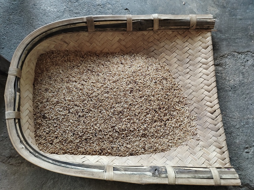 A variety of rice popular among tribal communities in Jharkhand. Image by Kundan Pandey.