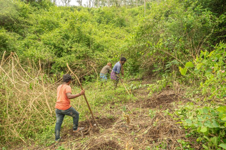 Shanavas learned much about the forest from the Jenu Kuruba community while working at Junglescapes in Bandipur Tiger Reserve — for example, how to identify the tracks of elephants and to identify different alarm calls. Image by Ishan Shanavas.
