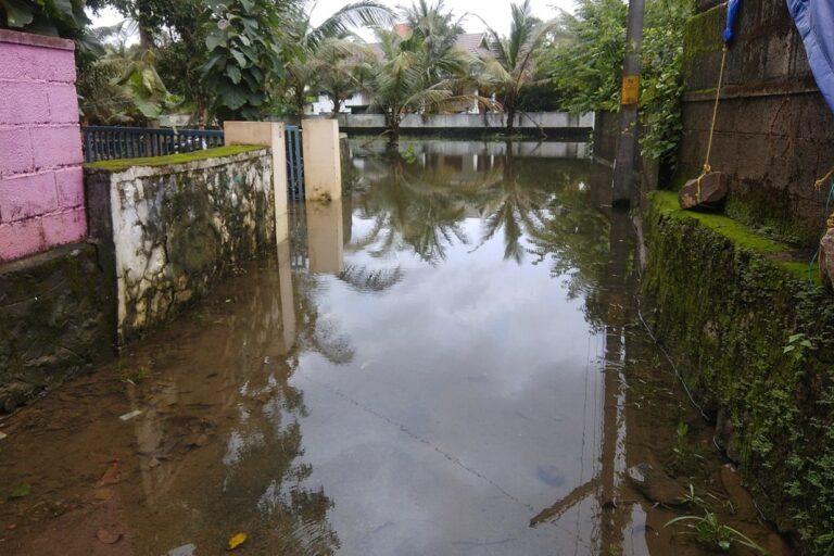 Angamaly, Kerala, floods in 2019. India’s role is significant in the global advisory, as it occupies a unique position as both the world’s third-largest emitter and being highly vulnerable to climate impacts like floods. Image by Ranjithsiji via Wikimedia Commons (CC BY-SA 4.0).
