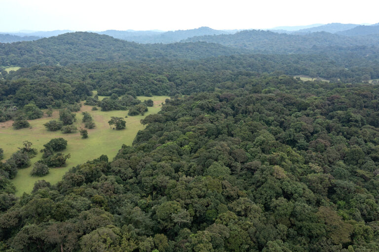 The Karnataka government plans to convert 20 acres of pristine land adjacent to the Brahmagiri Wildlife Sanctuary in Kodagu into a large tribal colony to house more than 500 people. Image by Dilan Mandanna.
