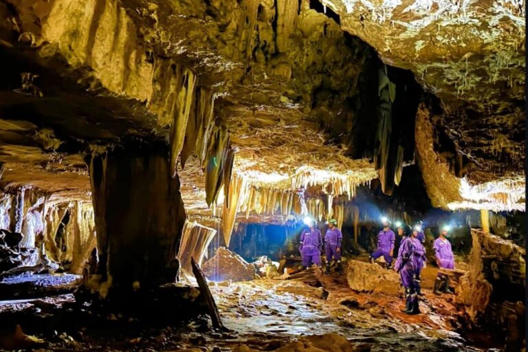 Those who manage the tourism activities in Mawmluh say they don't view tourism as a standalone activity, but one that will raise awareness about the biodiversity here, and help conserve it. Image by Milton Marak and Phida Jyrwa.