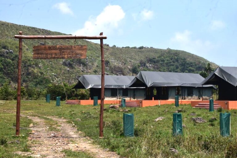 The Highland Camp was established in 2019. Nestled among hills, streams and forests, it manages several tents and a small restaurant for nature and adventure lovers. Image by Milton Marak and Phida Jyrwa.