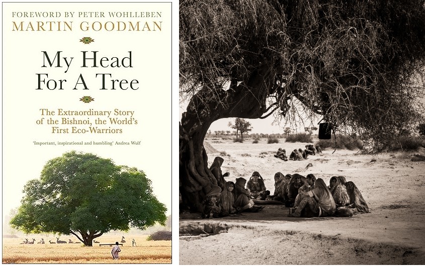 Book cover by Hachette India. Image of Bishnoi women gathering under a khejri tree by Franck Vogel.