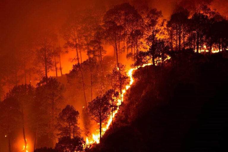 Bandipur forest fire in 2019. A new satellite-based analysis revealed that wildfires were the dominant drivers of deforestation in Asia. Image by Naveen Kadalveni via Wikimedia Commons (CC BY-SA 4.0).