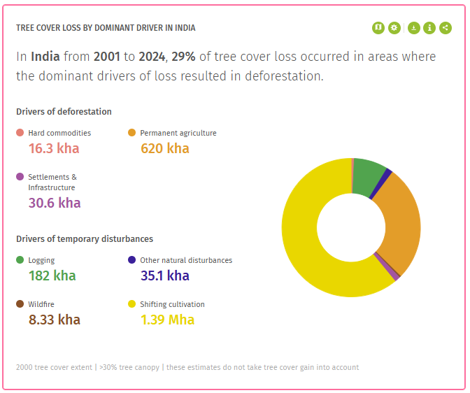 The GFW interactive map reveals that between 2001 and 2024, 29% of tree cover loss in India resulted in deforestation, with permanent agriculture, hard commodities, and settlements and infrastructure being the dominant drivers. Chart courtesy of Global Forest Watch. 