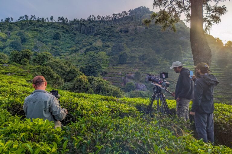 The crew filming in the tea gardens of the Nilgiris. Image by Sameer Jain/Felis Images.