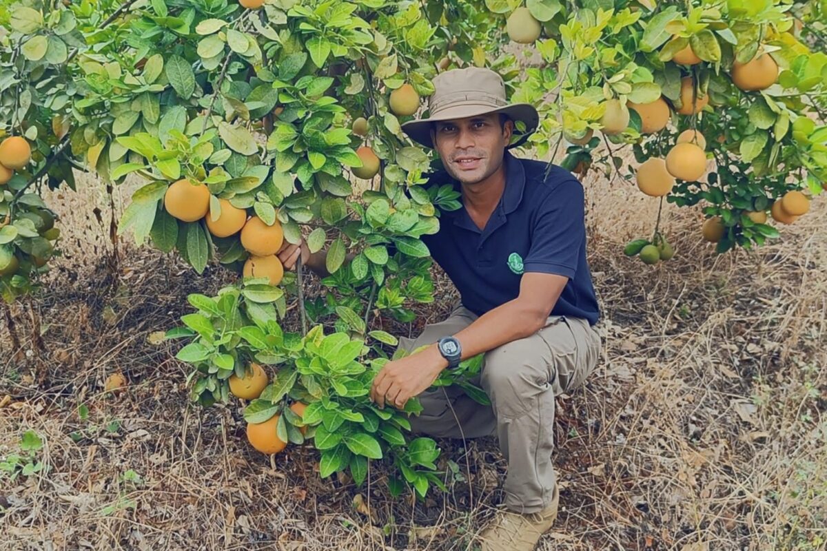 Varkey George shows a grapefruit tree on his farm in Kottayam. He plans to diversify his fruit farming. Image courtesy of Varkey George.