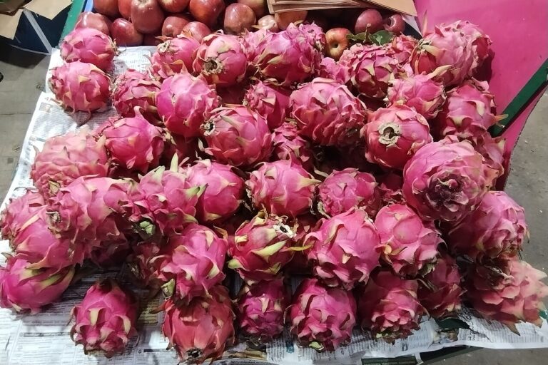 Dragon fruit being sold in Bengaluru. Though it can be grown across India, selling this fruit is a challenge, say farmers. In the absence of cold chain infrastructure, farmers must identify wholesalers in cities who dictate prices instead of selling directly to consumers or retailers. Image by Gpkp via Wikimedia Commons (CC BY-SA 4.0).