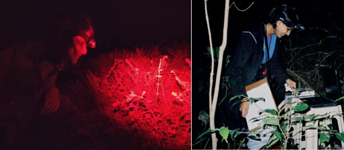 Balakrishnan and her first student Swati Diwakar look for insects, in different times and habitats. Balakrishnan leads the Animal Communication and Bioacoustics Lab at the Indian Institute of Science, where her team studies animal calls to understand evolution, communication, and ecosystem change. Images by Mohammed Aamir Sadiq and Rohini Balakrishnan.