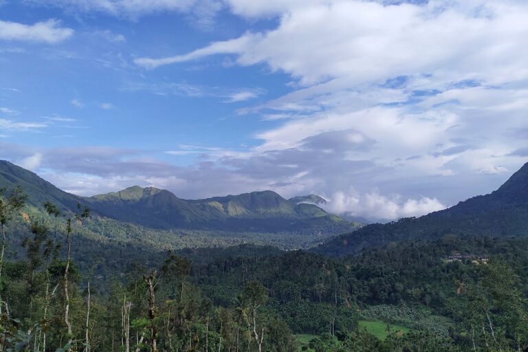Kudremukh in the Western Ghats of Karnataka, where Balakrishnan studied insect calls. Image by solarisgirl via Wikimedia Commons (CC BY-SA 2.0).