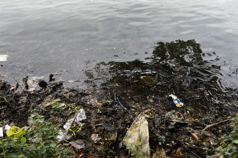 The polluted waters of Vembanad lake in Kochi city. Plastic waste and refuse are dumped into the lake, while fertiliser and pesticide residue also find their way here from fields. Image by Divya Kilikar/Mongabay.