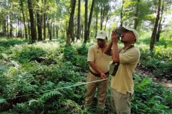 Ground truthing exercises for forest degradation mapping, integrating field data with satellite-based analysis. Image courtesy of TERI