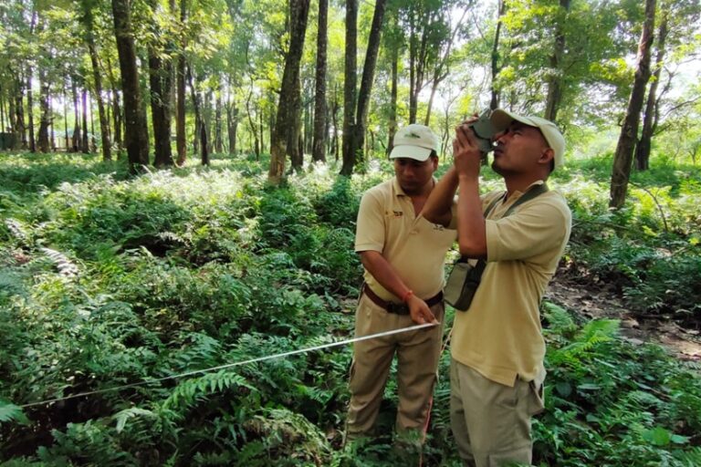 Ground truthing exercises for forest degradation mapping, integrating field data with satellite-based analysis. Image courtesy of TERI