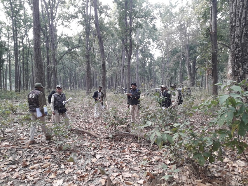 Field team and forestry officials conducting forest inventory measurements in Pench Tiger Reserve, Madhya Pradesh. Image courtesy of TERI.
