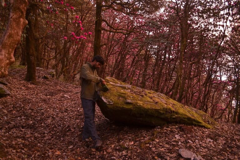 Bat researcher Rohit Chakravarty installs a bat detector at a field site in Uttarakhand. A team of bat biologists have published a revised inventory of bats from the Western Himalayas, comprising 53 species, including a new species and new locality records of several species. Image by Taksh Sangwan.