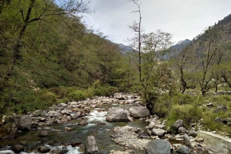 Example of a typical habitat patch of the newly described Himalayan long-tailed myotis. Image by Rohit Chakravarty.