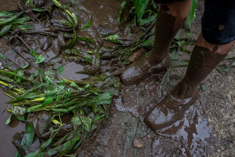 A farmer inspects the damage to his crop caused by flash floods after a cloudburst in Kashmir in 2023. (AP Photo/Dar Yasin)