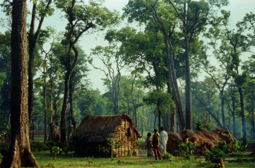 Forestland in India’s Western Ghats, a key conservation target. The author argues that inclusive conservation requires systemic change and fairer wealth distribution. Image by Smitha Krishnan via Wikimedia Commons (CC-BY-2.5).