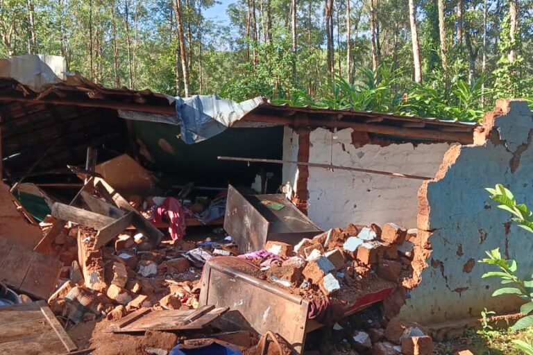 Homes damaged by elephants in Wayanad. A recent study found that 87% of negative human-wildlife interactions in Kerala were caused by elephants, wild boars, and monkeys, with 64% of these conflicts occurring in Wayanad. Image by special arrangement.