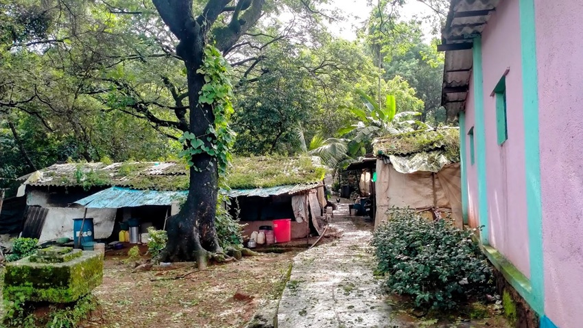 Traditional homes of indigenous communities were often built with mud, wood, and thatch from the Karvi plant. Image by Esha Lohia for Mongabay.