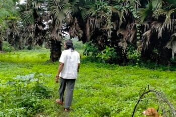 Farmer Laxman Shankar Dalvi, one of several residents served eviction notices by the Maharashtra Forest Department. Image by Esha Lohia for Mongabay.